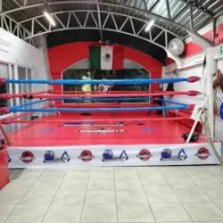 Oaxaquita box lomas verdes