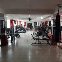 Force Gym 777