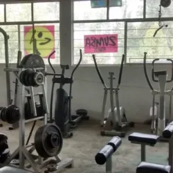 Monster Energym