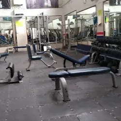 Bulldog GYM