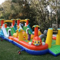 Juegos Inflables Cocoy