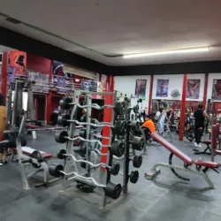 Fitness Factory Gym