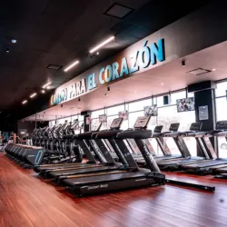 Gimnasio Focus CDE | Centenario