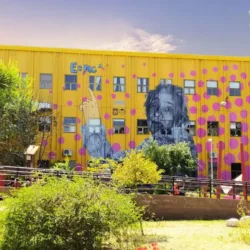Universidad Nacional de San Luis