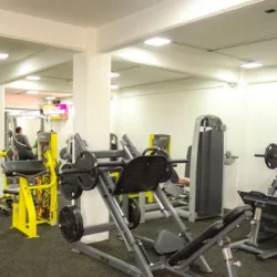 N-FIT