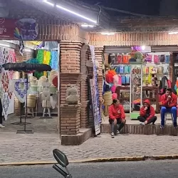 Articulos para carnaval Terrys
