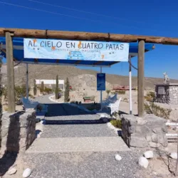 Al cielo en cuatro patas