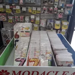 Modatelas Tlaxcala