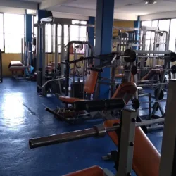 Gym Shalom