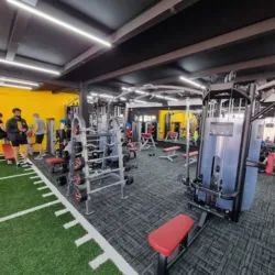 MONKEY´S FITNESS CLUB