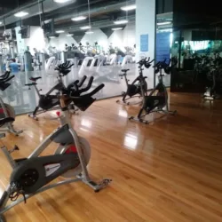 Sport City Toreo