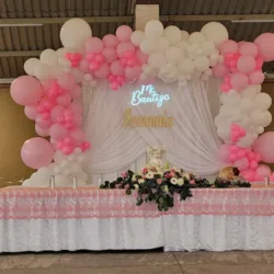 Renta de carpas y todo para fiestas