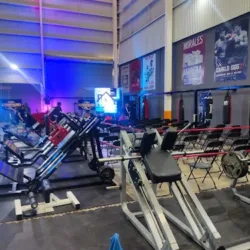 Gym Constituyentes 427 const