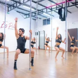Exs Pole Fitness