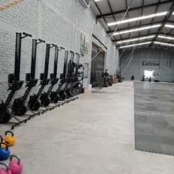 Catrina Cross Fit