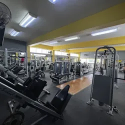 Panteras gym S.M