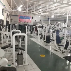Evolution Gym