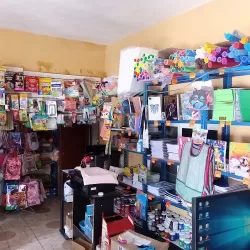Papeleria y Novedades Cesarin
