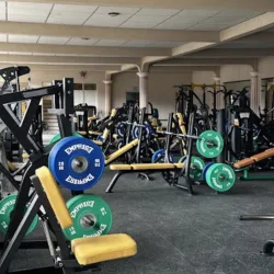 F1 Gym