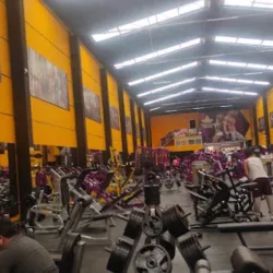 Apolo Gym Premium