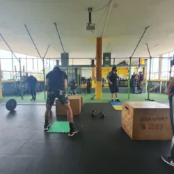 Hüman kinetic's