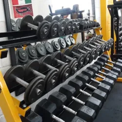 Under Gym