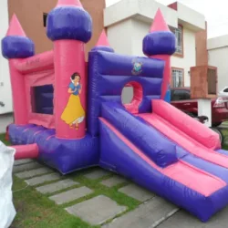 RENTA DE INFLABLES PARA PUEBLA