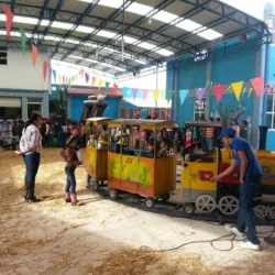 Tepofiestas