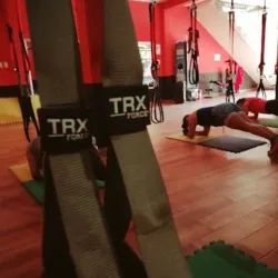 Madness Training Center TRX
