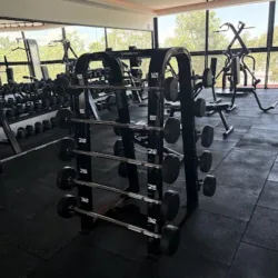 progym