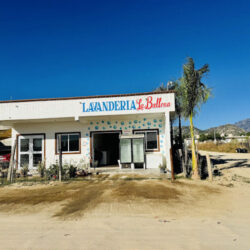 Lavandería la ballena