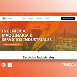 Tecnesio | Diseño web Profesional