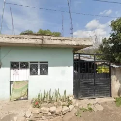 The Valeri Shop