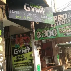 Fibra GYM