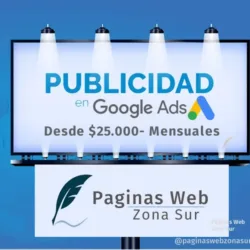 Paginas Web Zona Sur