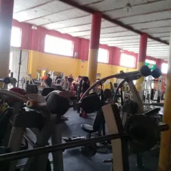 Fitness Plus City