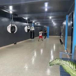 GENESIS BOXING PINITOS