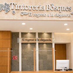 Tintorería Bosques Pabellón Bosques