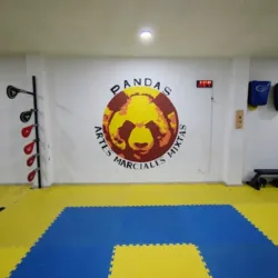 Taekwondo Kyeongju Pandas SJR