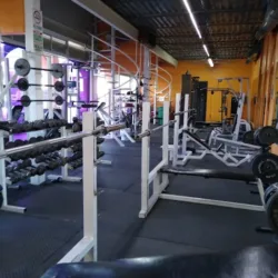 nutrigym