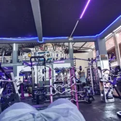 Pitbull Gym