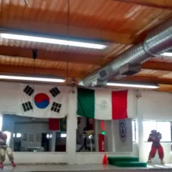 Escuela de Artes Marciales