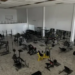 Bestias Gym
