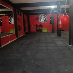 Esparta Box gto