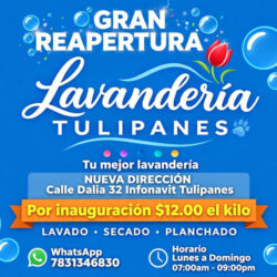 Lavandería Tulipanes