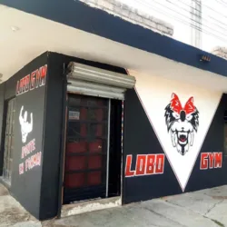 LOBO GYM