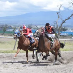 THE IRON HORSE - Centro Hipico
