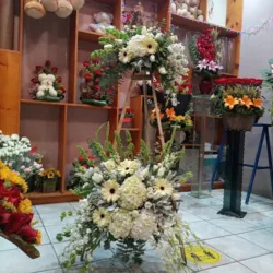 Florería Isis - envia flores en tijuana