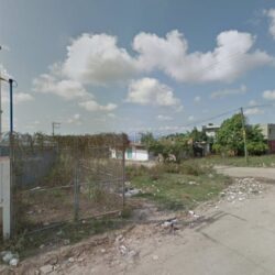 Lavanderia Primavera