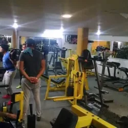 CD PRO GYM
